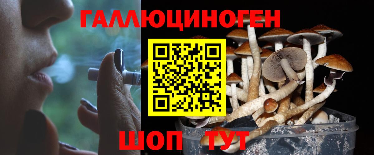 Псилоцибиновые грибы мухоморы Урай